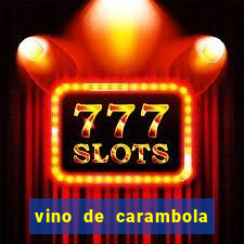 vino de carambola stardew valley